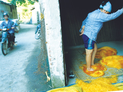 Kinh hãi làm miến ở làng nghề