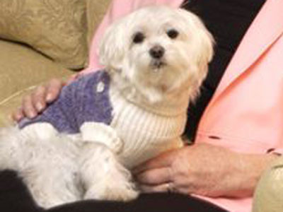 Chú chó triệu phú vĩnh biệt cuộc sống