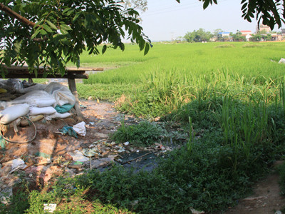 Bẩn như mơ, mận làm ô mai