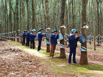 Không được lấy dân làm thí nghiệm