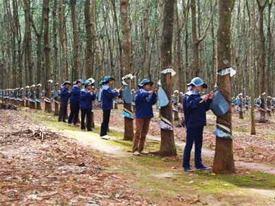 Không được lấy dân làm thí nghiệm