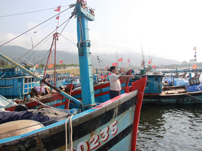 Đại gia đình Hoàng Sa