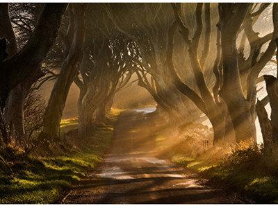 Ngỡ ngàng cảnh bình minh đẹp 'mê hồn'