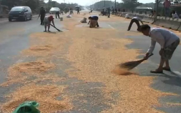 Xe chở ngô đổ ra đường, người dân lao vào hôi của