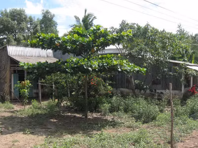 Hiếp dâm bé gái hàng xóm
