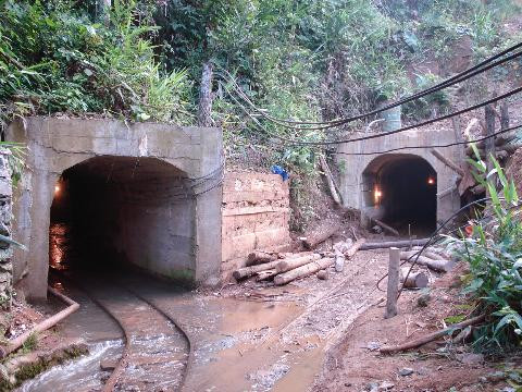 Tổng giám đốc sắp... chạy làng?