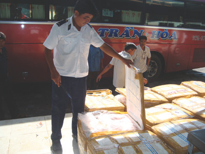 Thực phẩm bẩn vào TPHCM: Có ngày thu cả tấn