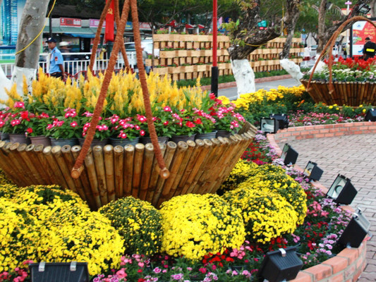 Đường hoa 17 tỷ đồng khoe hương đón Tết