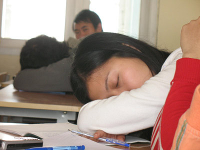 Hiệu trưởng phải chịu trách nhiệm việc học thuê