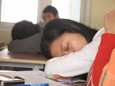 Hiệu trưởng phải chịu trách nhiệm việc học thuê