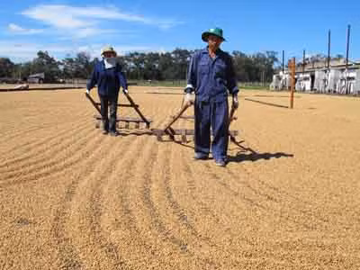 Hơn 500 tỷ đồng thuế VAT “bốc hơi”