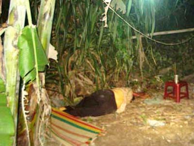 Nghịch tử sát hại mẹ sau vườn