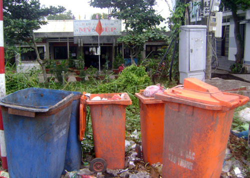 Trường mẫu giáo gần trại cá sấu!