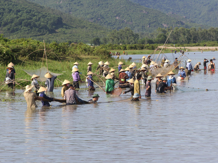 Hàng nghìn người đội nắng, chen nhau xuống đầm bắt cá