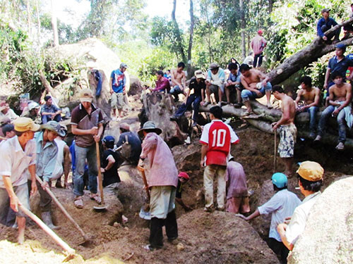 Đào rừng phòng hộ Gộp Ngà tìm kỳ nam