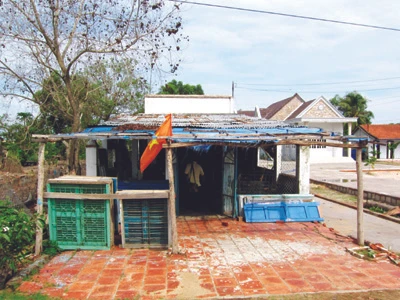 Vụ cô dâu Việt bị sát hại ở Hàn Quốc: “Nó là đứa tử tế”