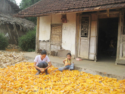 Trần Thị Tuyết làm công việc thường ngày của cô gái nghèo. Ảnh: D.Ng