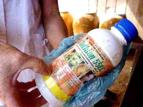 Con dâu đầu độc mẹ chồng