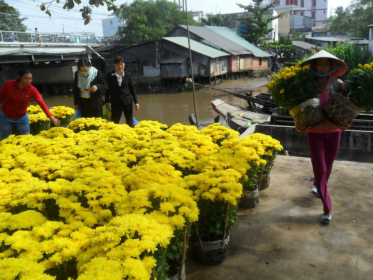 Giá hoa Tết tuột dốc