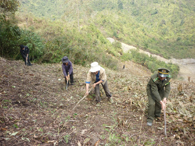 Cán bộ kiểm lâm huyện Sìn Hồ hướng dẫn dân tạo đường băng cản lửa khi đốt nương