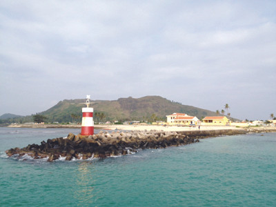 Tỏi cô đơn, thợ lặn và Cá Ông voi ở Lý Sơn