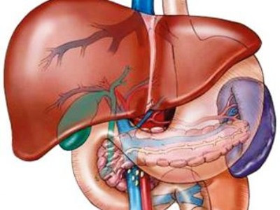 Tám triệu người Việt Nam nhiễm vi-rút viêm gan B hoặc C