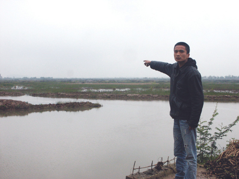 Đầm nuôi trồng của ông Lê Đình Thảo, sau 3 năm để không, đã được huyện Tiên Lãng cho người khác thuê