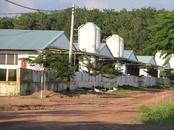 Doanh nghiệp đồng loạt kêu cứu