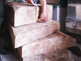 Chờ cơ quan điều tra làm rõ vụ cây sưa nghìn tỷ