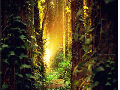 Những khoảnh khắc đẹp như mơ