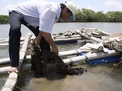 Sông Chà Và ô nhiễm nặng, dân tái nghèo