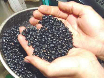 Nhiều người nhập viện vì nuốt đậu đen