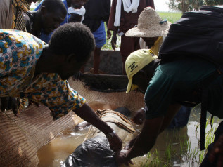 Một thi thể nạn nhân đắm tàu được đưa lên từ sông Niger hôm 13/10