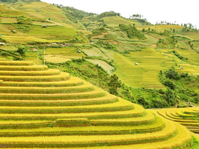 'Phượt' Mù Cang Chải mùa lúa chín