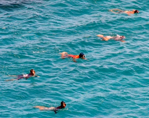 Nghề hái ra tiền giữa trùng khơi