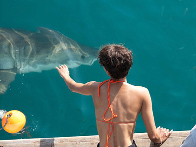 Thót tim xem 'miêu nữ' Halle Berry đùa với cá mập