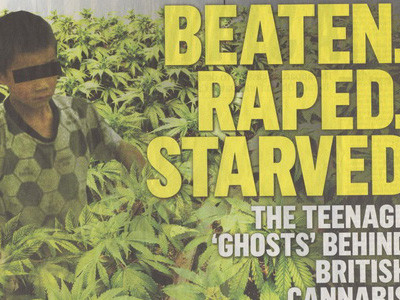 'Em bé trồng cần sa' người Việt lên báo Anh