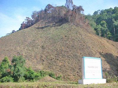 Tàn phá môi trường, dịch bệnh bùng phát