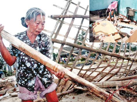 Không có hoa cho vùng bão lũ