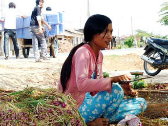 Nhiều người trồng hành tím bị mù mắt