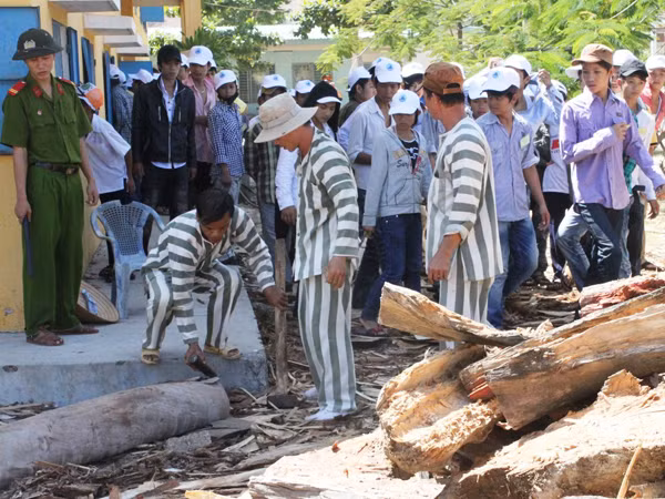 Đà Nẵng tổ chức tour tham quan trại giam, trại giáo dưỡng cho thanh thiếu niên “chậm tiến”. Ảnh: Nguyễn Huy