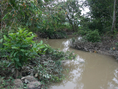 Có có không không