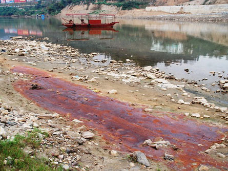 Nước lạ trên sông Hồng