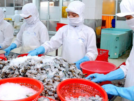 Ngành tôm Mỹ chia rẽ vì vụ kiện với Việt Nam