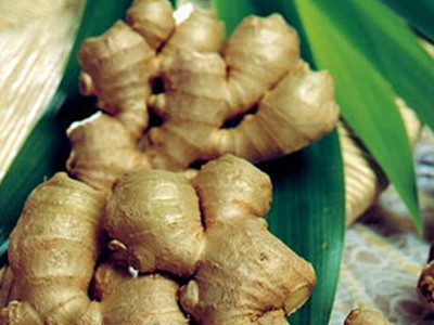 Đầu hè ăn gừng, giảm mệt lợi tiêu hóa