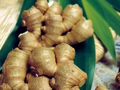 Đầu hè ăn gừng, giảm mệt lợi tiêu hóa