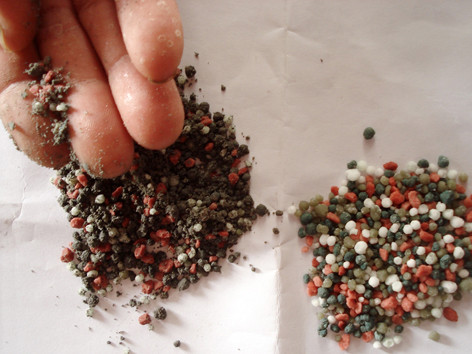 Phân bón giả hoành hành do cán bộ móc ngoặc