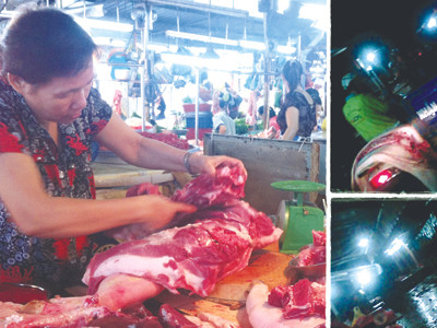 Chợ trộn heo bệnh, heo lành