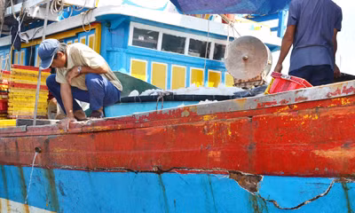 Yêu cầu Trung Quốc bồi thường vụ đâm tàu cá trên biển Hoàng Sa