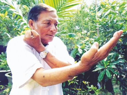 Rồng trắng ra đòn